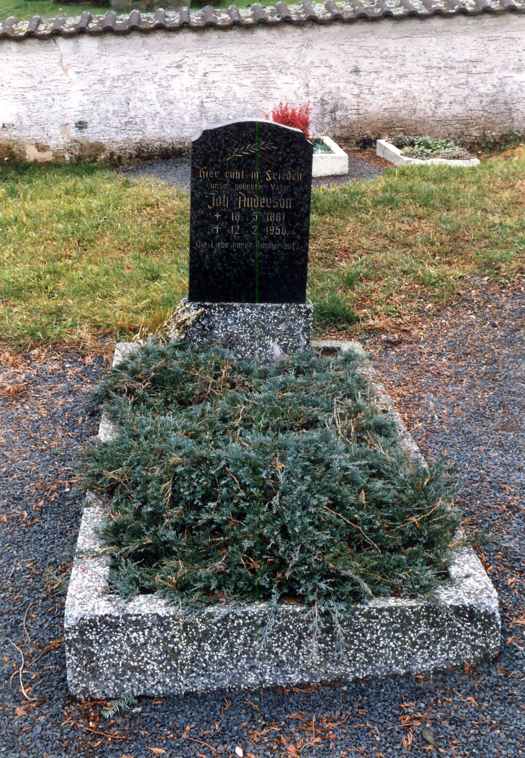 buschb45.jpg (586246 Byte)